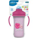 Dr. Brown's Insulated Straw Cup Κύπελλο Θερμός με Καλαμάκι 12μηνών+, 300ml