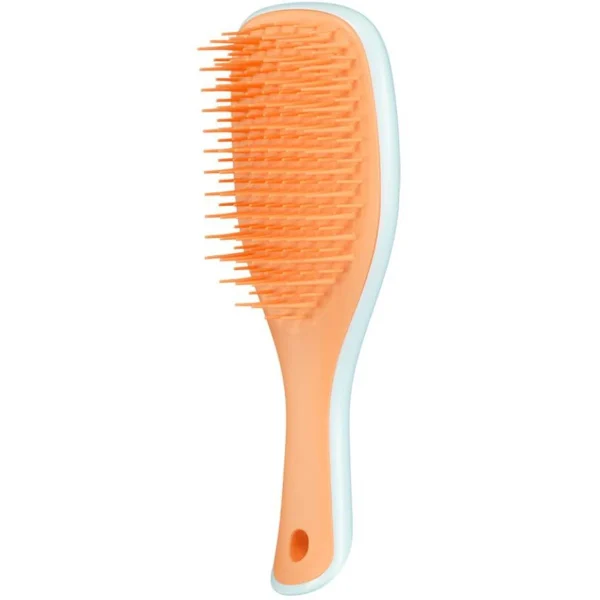 Tangle Teezer Detangling Mini Hairbrush Βούρτσα Μαλλιών, 1τεμ