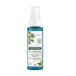 Klorane Detox Organic Mint Mist 100ml (Καθαριστικό Σπρέι Μαλλιών για Μαλλιά Εκτεθειμένα στην Ρύπανση)